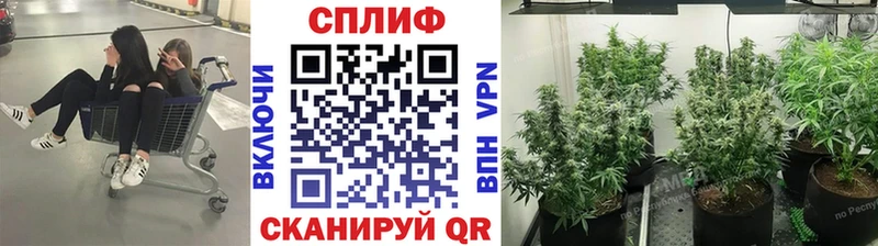 Купить где  Белинский  Канабис планчик 
